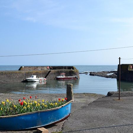 Villa Harbour View à Johnshaven Extérieur photo